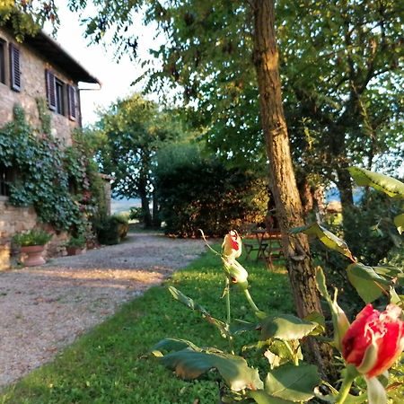 Casa Gioia Apartment Greve in Chianti Luaran gambar