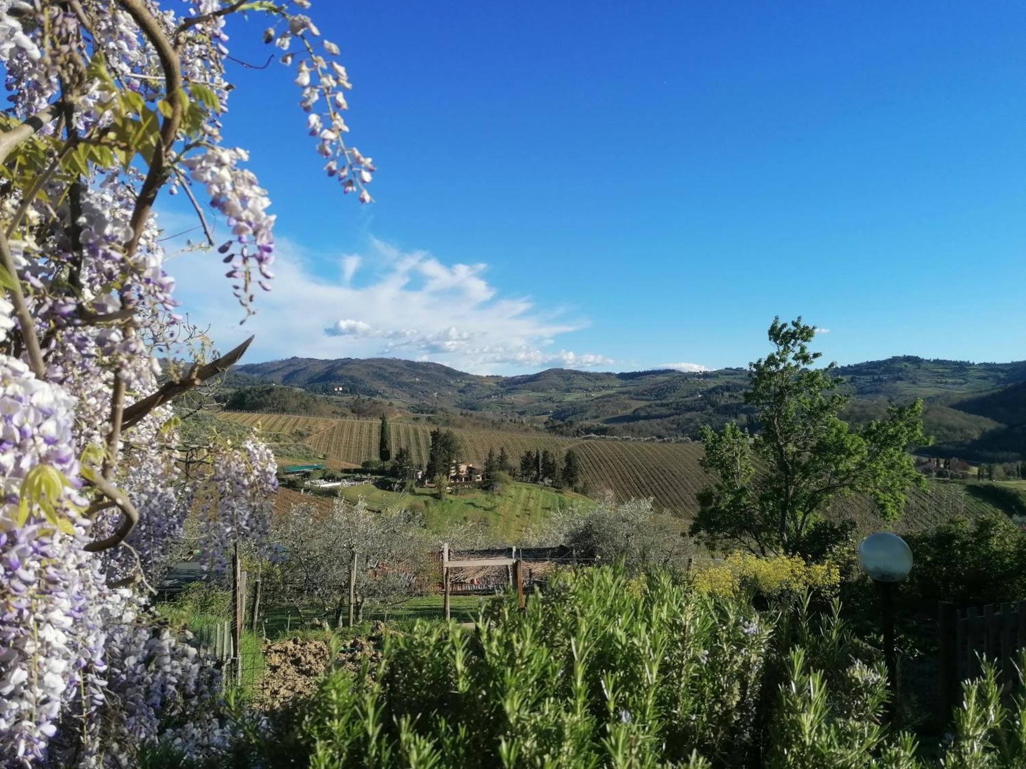 Casa Gioia Apartment Greve in Chianti Luaran gambar